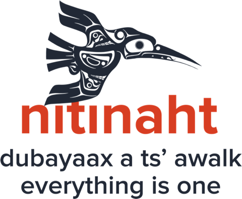 nitinaht logo